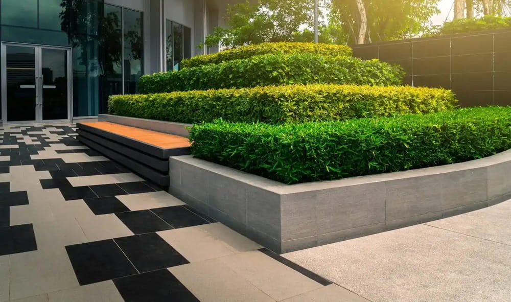 Commercial building entry with clipped hedges in raised planters and checkerboard paving