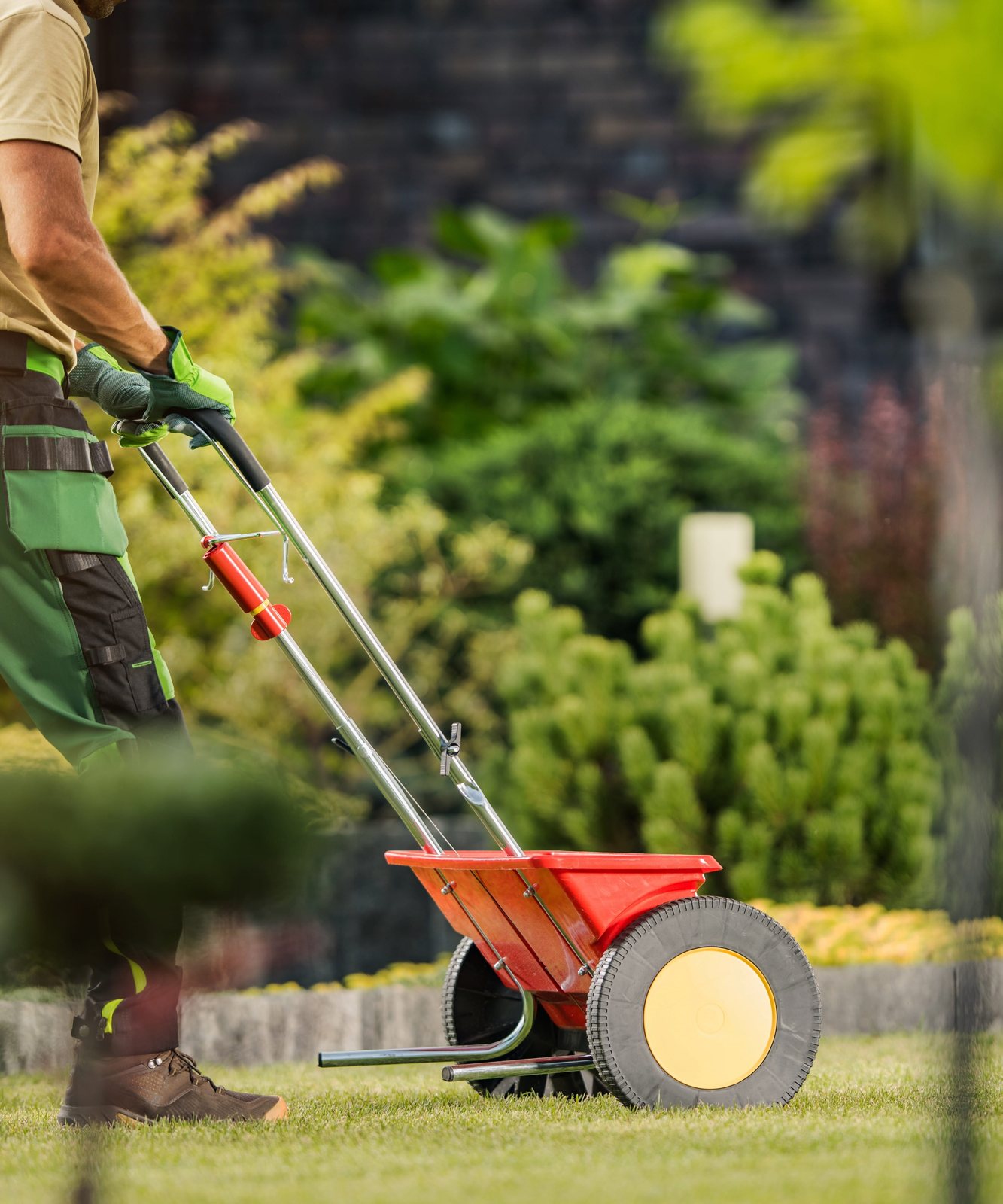 Uniformed crew member running a fertilizer spreader along a bed edge